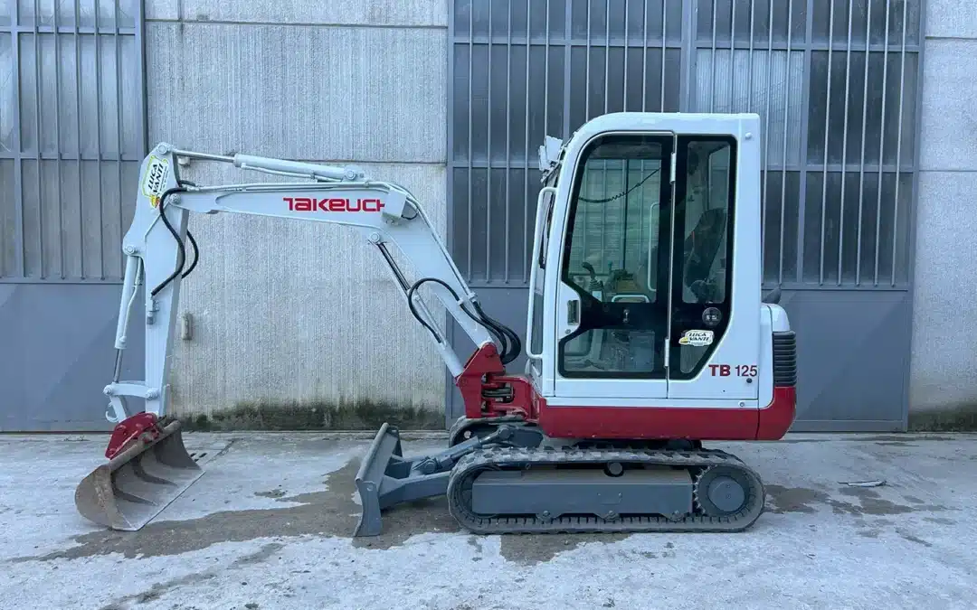 Escavatore q.li 25