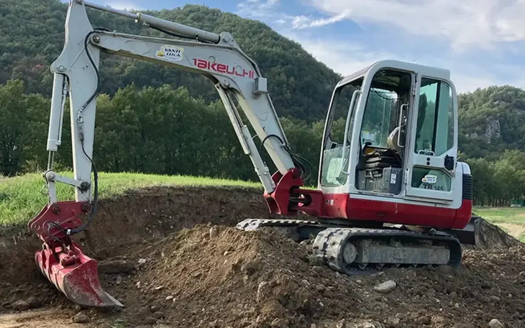 Escavatore q.li 50